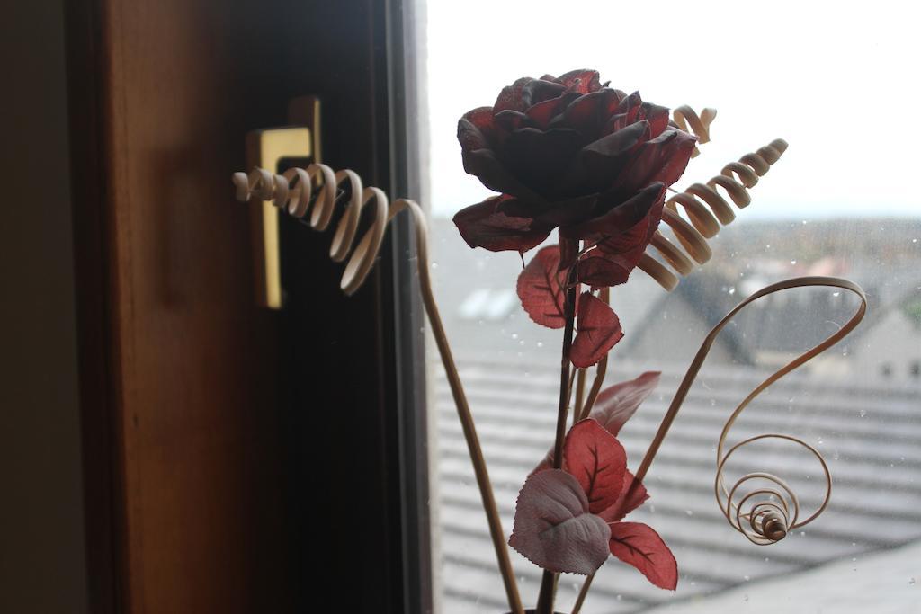인버루리 더 블랙 불 인 B&B 외부 사진